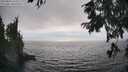 ./images/koeye/fitz-hugh/20250826/fitz-hugh20250826_170012M.jpg