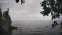 ./images/koeye/fitz-hugh/20250826/fitz-hugh20250826_170510M.jpg