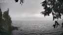 ./images/koeye/fitz-hugh/20250826/fitz-hugh20250826_172011M.jpg