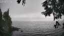 ./images/koeye/fitz-hugh/20250826/fitz-hugh20250826_173011M.jpg