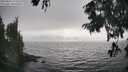 ./images/koeye/fitz-hugh/20250826/fitz-hugh20250826_173510M.jpg