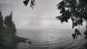 ./images/koeye/fitz-hugh/20250826/fitz-hugh20250826_175009M.jpg