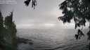 ./images/koeye/fitz-hugh/20250826/fitz-hugh20250826_180012M.jpg