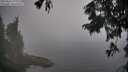 ./images/koeye/fitz-hugh/20250826/fitz-hugh20250826_194009M.jpg