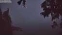./images/koeye/fitz-hugh/20250827/fitz-hugh20250827_055508M.jpg