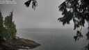 ./images/koeye/fitz-hugh/20250827/fitz-hugh20250827_090511M.jpg