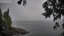 ./images/koeye/fitz-hugh/20250827/fitz-hugh20250827_091512M.jpg