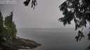 ./images/koeye/fitz-hugh/20250827/fitz-hugh20250827_104010M.jpg