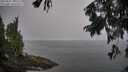 ./images/koeye/fitz-hugh/20250827/fitz-hugh20250827_105509M.jpg