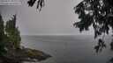 ./images/koeye/fitz-hugh/20250827/fitz-hugh20250827_110012M.jpg
