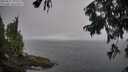 ./images/koeye/fitz-hugh/20250827/fitz-hugh20250827_113012M.jpg