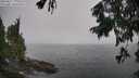 ./images/koeye/fitz-hugh/20250827/fitz-hugh20250827_115010M.jpg