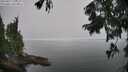 ./images/koeye/fitz-hugh/20250827/fitz-hugh20250827_124509M.jpg