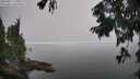 ./images/koeye/fitz-hugh/20250827/fitz-hugh20250827_125510M.jpg