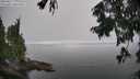 ./images/koeye/fitz-hugh/20250827/fitz-hugh20250827_130010M.jpg