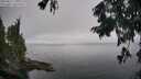 ./images/koeye/fitz-hugh/20250827/fitz-hugh20250827_131011M.jpg
