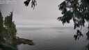 ./images/koeye/fitz-hugh/20250827/fitz-hugh20250827_131512M.jpg