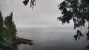 ./images/koeye/fitz-hugh/20250827/fitz-hugh20250827_132511M.jpg