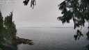 ./images/koeye/fitz-hugh/20250827/fitz-hugh20250827_133510M.jpg