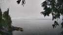 ./images/koeye/fitz-hugh/20250827/fitz-hugh20250827_134011M.jpg