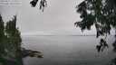 ./images/koeye/fitz-hugh/20250827/fitz-hugh20250827_134508M.jpg