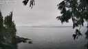 ./images/koeye/fitz-hugh/20250827/fitz-hugh20250827_135510M.jpg