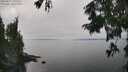 ./images/koeye/fitz-hugh/20250827/fitz-hugh20250827_141511M.jpg