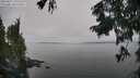 ./images/koeye/fitz-hugh/20250827/fitz-hugh20250827_142011M.jpg