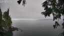 ./images/koeye/fitz-hugh/20250827/fitz-hugh20250827_144511M.jpg