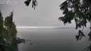 ./images/koeye/fitz-hugh/20250827/fitz-hugh20250827_145509M.jpg