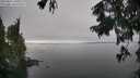 ./images/koeye/fitz-hugh/20250827/fitz-hugh20250827_150012M.jpg