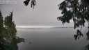 ./images/koeye/fitz-hugh/20250827/fitz-hugh20250827_150507M.jpg