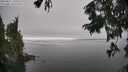 ./images/koeye/fitz-hugh/20250827/fitz-hugh20250827_151011M.jpg