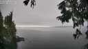 ./images/koeye/fitz-hugh/20250827/fitz-hugh20250827_151511M.jpg