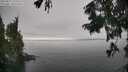 ./images/koeye/fitz-hugh/20250827/fitz-hugh20250827_152011M.jpg