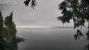 ./images/koeye/fitz-hugh/20250827/fitz-hugh20250827_152510M.jpg