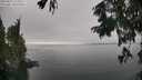 ./images/koeye/fitz-hugh/20250827/fitz-hugh20250827_153510M.jpg