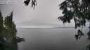 ./images/koeye/fitz-hugh/20250827/fitz-hugh20250827_154508M.jpg