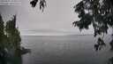 ./images/koeye/fitz-hugh/20250827/fitz-hugh20250827_155011M.jpg