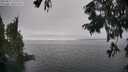 ./images/koeye/fitz-hugh/20250827/fitz-hugh20250827_155510M.jpg