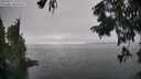 ./images/koeye/fitz-hugh/20250827/fitz-hugh20250827_160012M.jpg