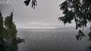 ./images/koeye/fitz-hugh/20250827/fitz-hugh20250827_160508M.jpg