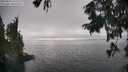 ./images/koeye/fitz-hugh/20250827/fitz-hugh20250827_162010M.jpg