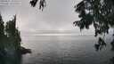 ./images/koeye/fitz-hugh/20250827/fitz-hugh20250827_162510M.jpg