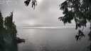 ./images/koeye/fitz-hugh/20250827/fitz-hugh20250827_163509M.jpg
