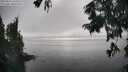 ./images/koeye/fitz-hugh/20250827/fitz-hugh20250827_164511M.jpg