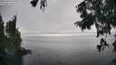 ./images/koeye/fitz-hugh/20250827/fitz-hugh20250827_165011M.jpg