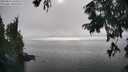 ./images/koeye/fitz-hugh/20250827/fitz-hugh20250827_165510M.jpg