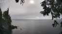 ./images/koeye/fitz-hugh/20250827/fitz-hugh20250827_171511M.jpg