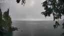 ./images/koeye/fitz-hugh/20250827/fitz-hugh20250827_172011M.jpg